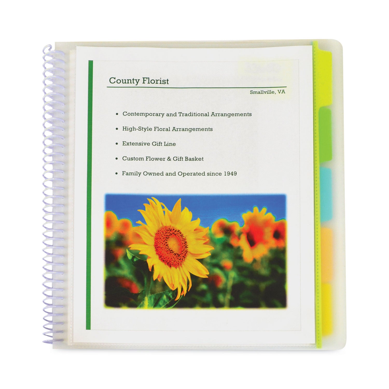 10-Pocket Poly Portfolio with Write-On Tabs, 8.5 x 11, Clear/Clear -