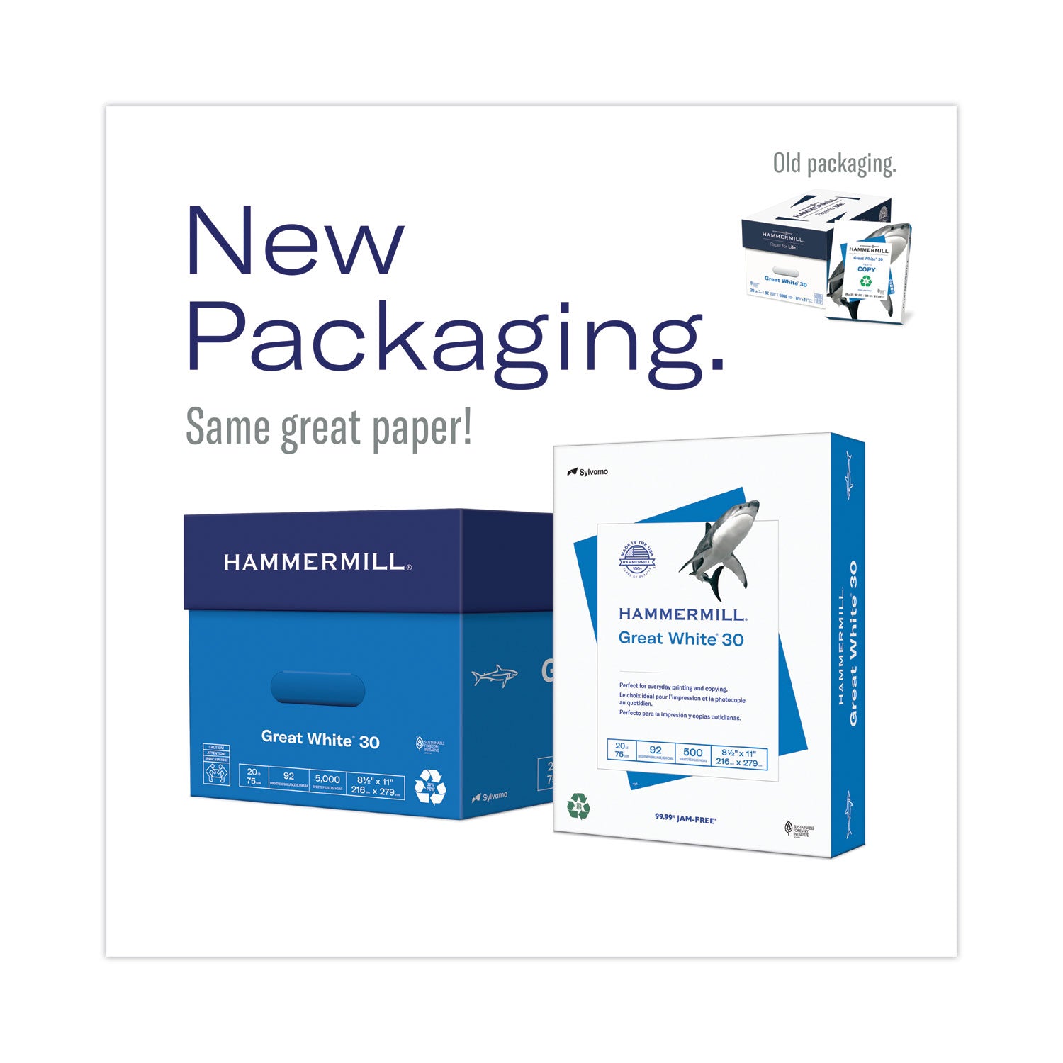 Great White 30 Recycled Print Paper, 92 Bright, 20lb Bond Weight, 8.5 x 11, White, 500/Ream,10 Reams/Carton,40 Cartons/Pallet -