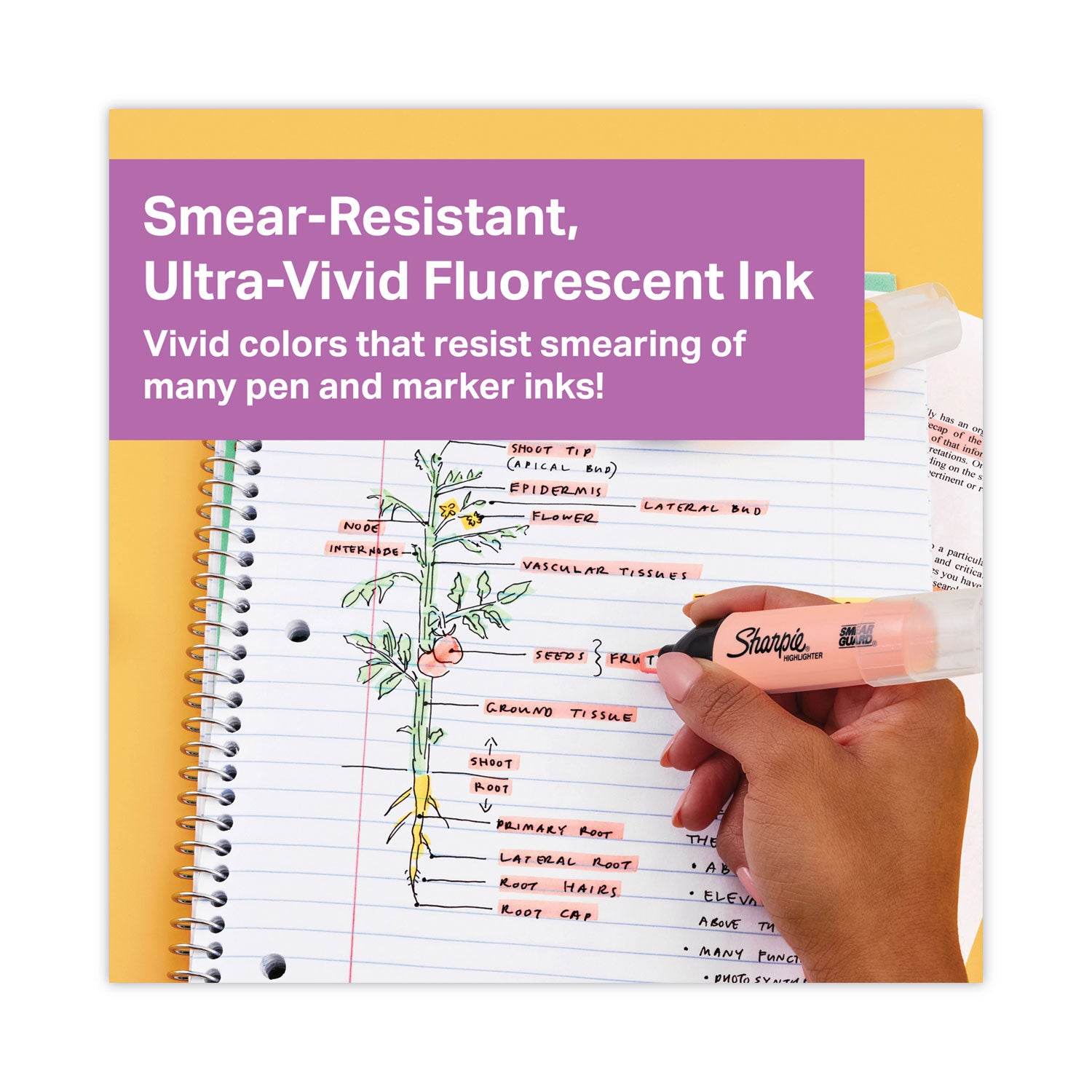 clearview-tank-style-highlighter-assorted-ink-colors-chisel-tip-assorted-barrel-colors-12-pack_san2149298 - 2