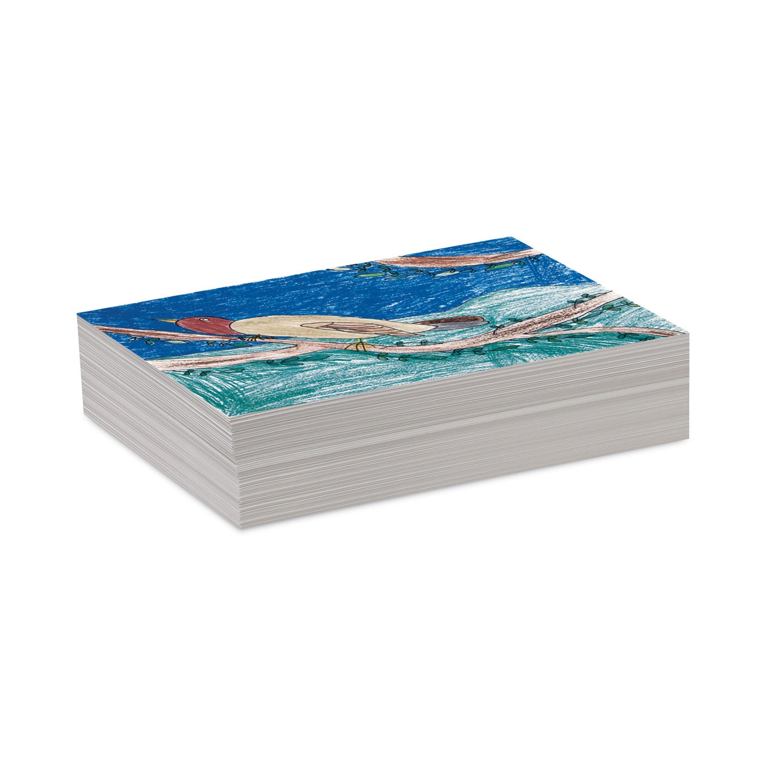 White Drawing Paper, 47 lb Text Weight, 9 x 12, Pure White, 500/Ream -