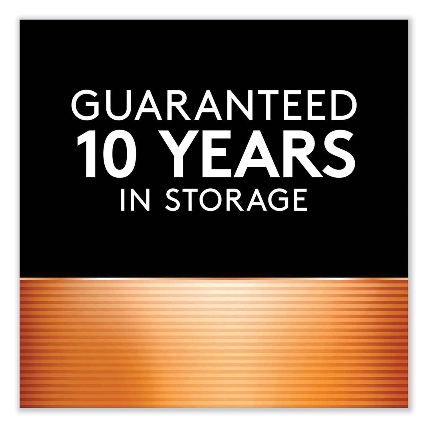 ION SPEED 4000 Hi-Performance Charger, Includes 2 AA and 2 AAA NiMH Batteries -