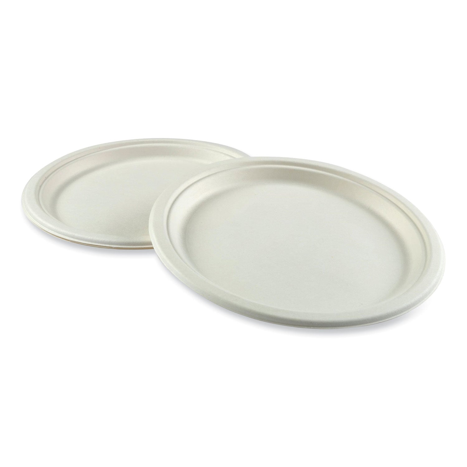 bagasse-pfas-free-dinnerware-plate-1027-dia-white-500-carton_rpppl10npfa - 2