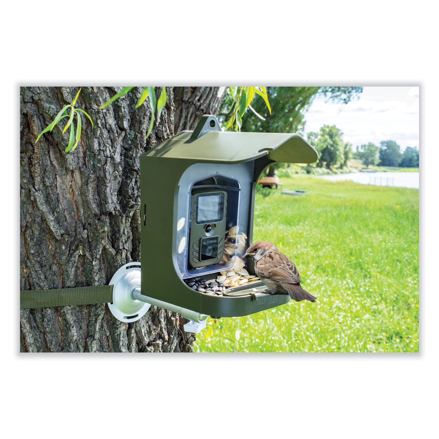 full-hd-birdcam-tx-165-8-mpixels-black-green_tax4923 - 2
