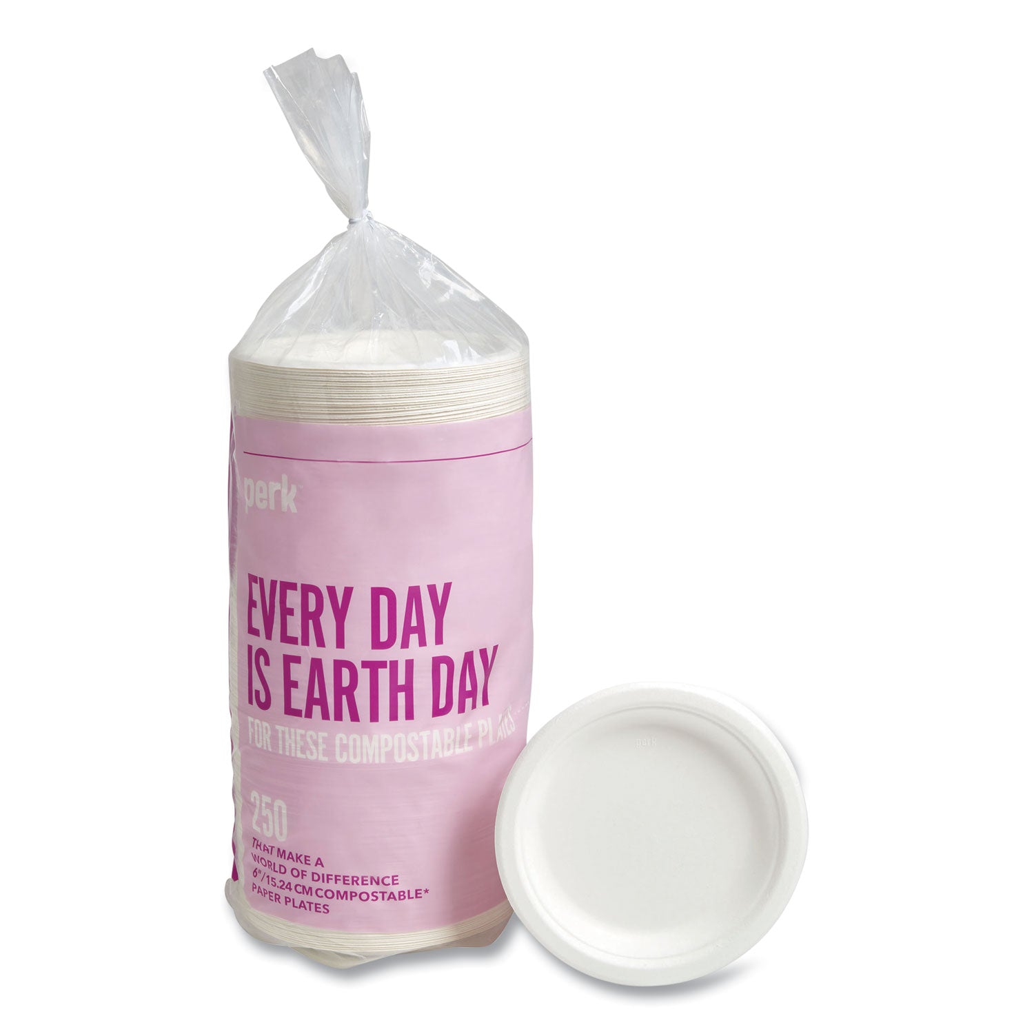 pfas-free-compostable-bagasse-plates-6-dia-white-250-pack_prk61286 - 1