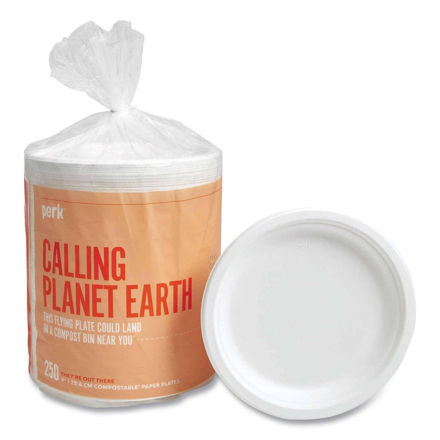 pfas-free-compostable-bagasse-plates-9-dia-white-250-pack_prk61287 - 1