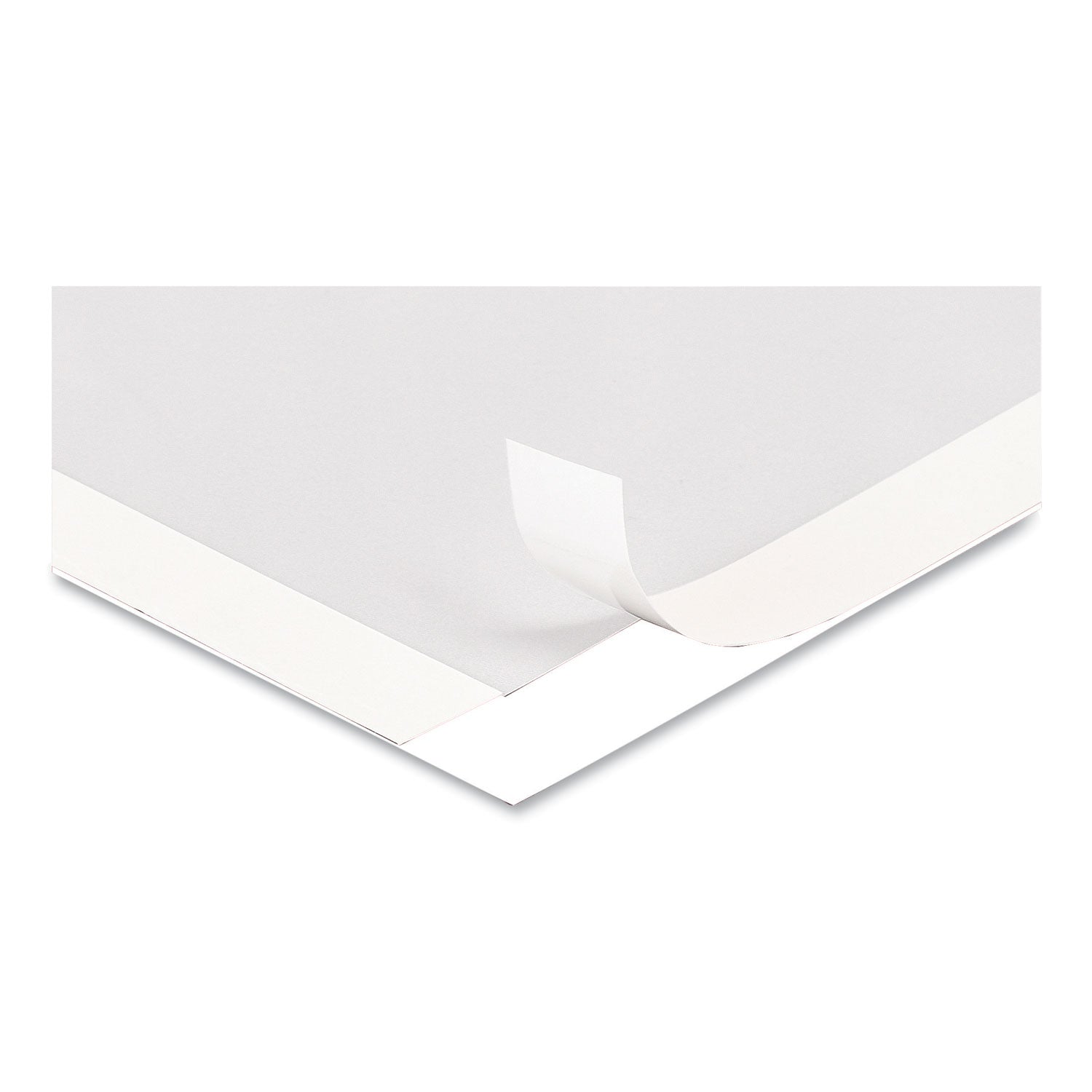self-adhesive-sign-holders-11-x-17-clear-with-white-border-2-pack_def68886w - 2