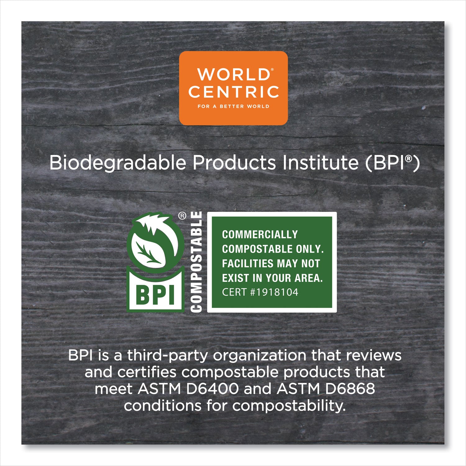 TPLA Compostable Cutlery, Soup Spoon, White, 750/Carton - 2