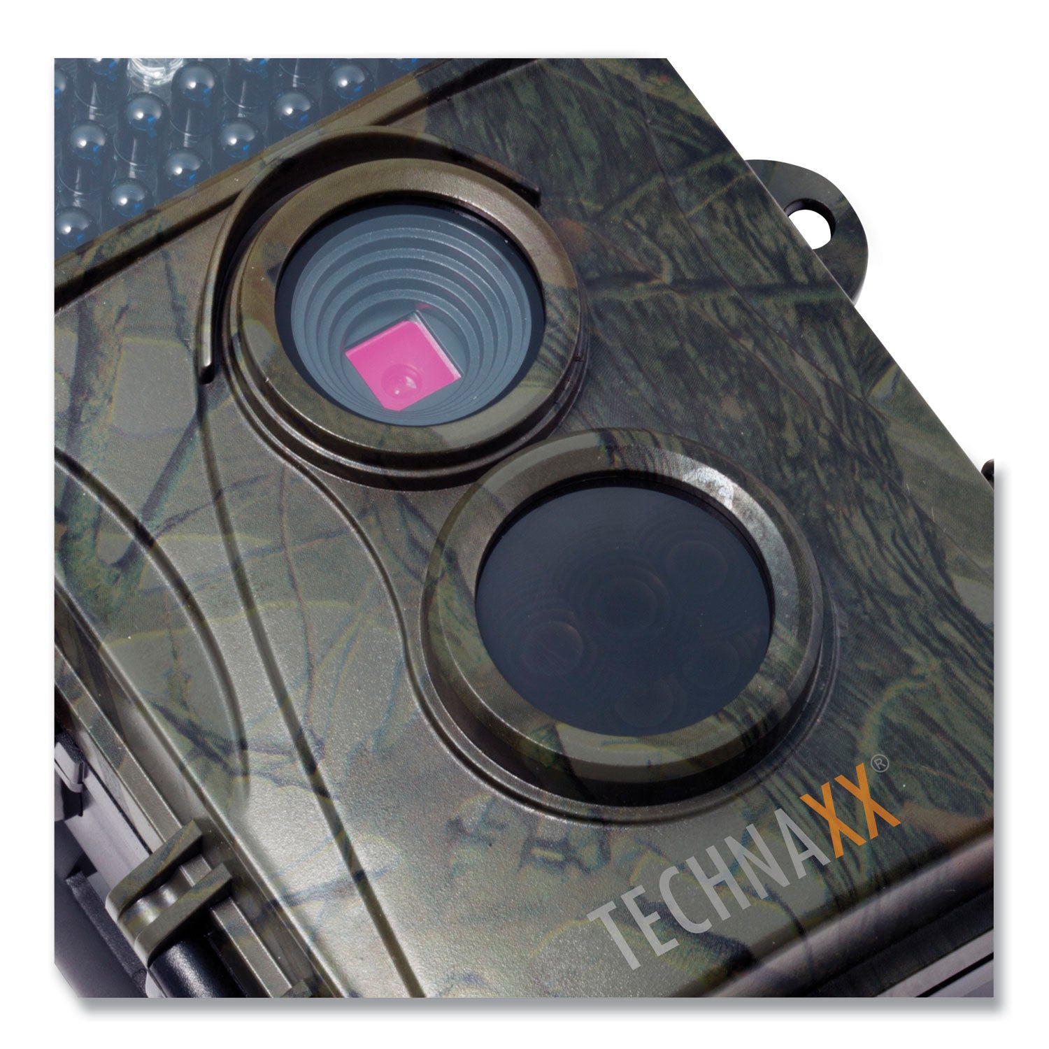 nature-wild-cam-tx-69-1920-x-1080-pixels_tax4719 - 2