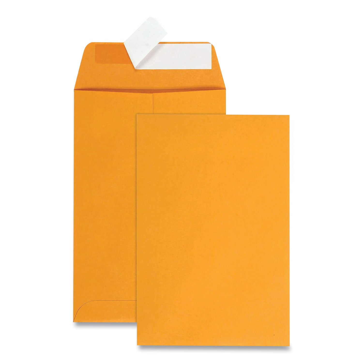 Redi-Strip Catalog Envelope, #1, Cheese Blade Flap, Redi-Strip Adhesive Closure, 6 x 9, Brown Kraft, 100/Box -