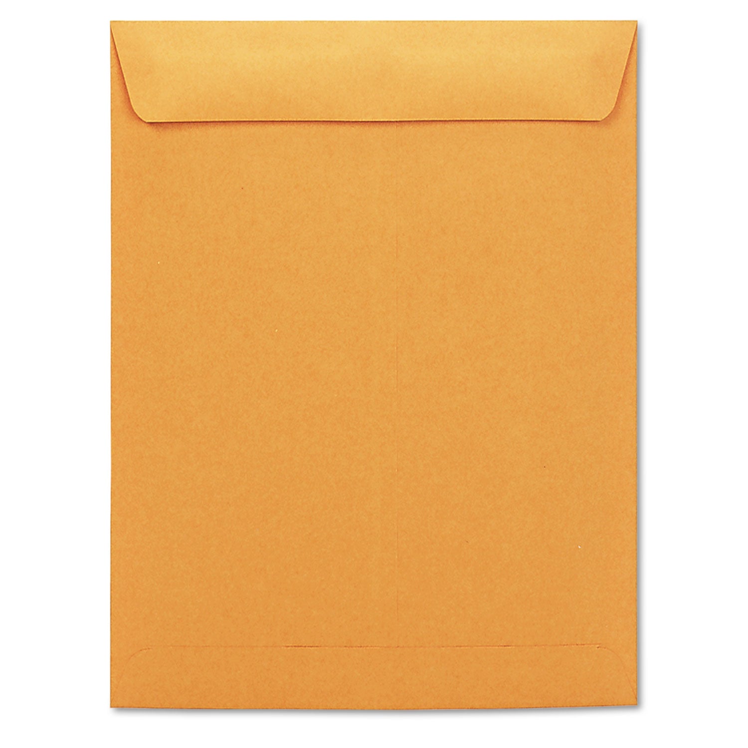 Catalog Envelope, #13 1/2, Square Flap, Gummed Closure, 10 x 13, Brown Kraft, 250/Box -