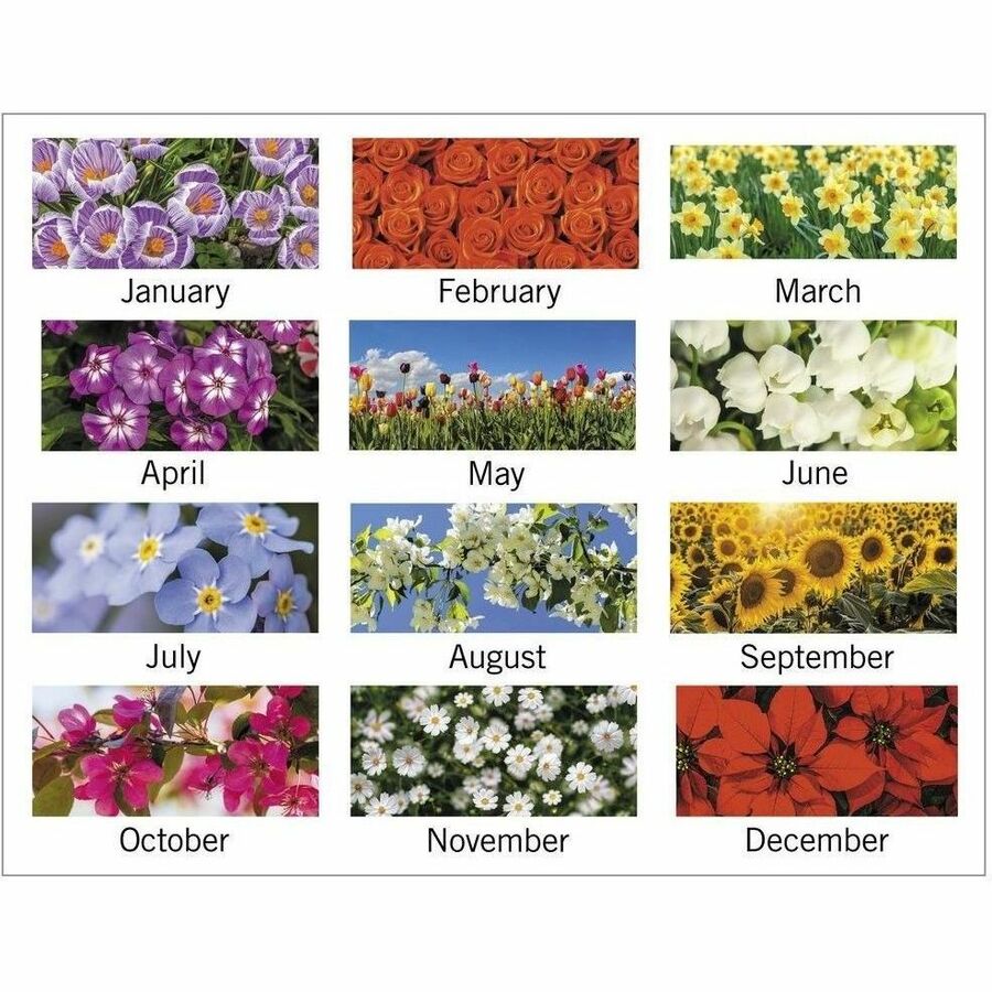 At-A-Glance Panoramic Floral Desk Pad - Standard Size - Monthly - 12 Month - January 2024 - December 2024 - 1 Month Single Page Layout - 21 3/4" x 17" White Sheet - 2.13" x 2.25" Block - Desk Pad - Poly, Paper - Bleed Resistant Paper, Unruled Daily B - 
