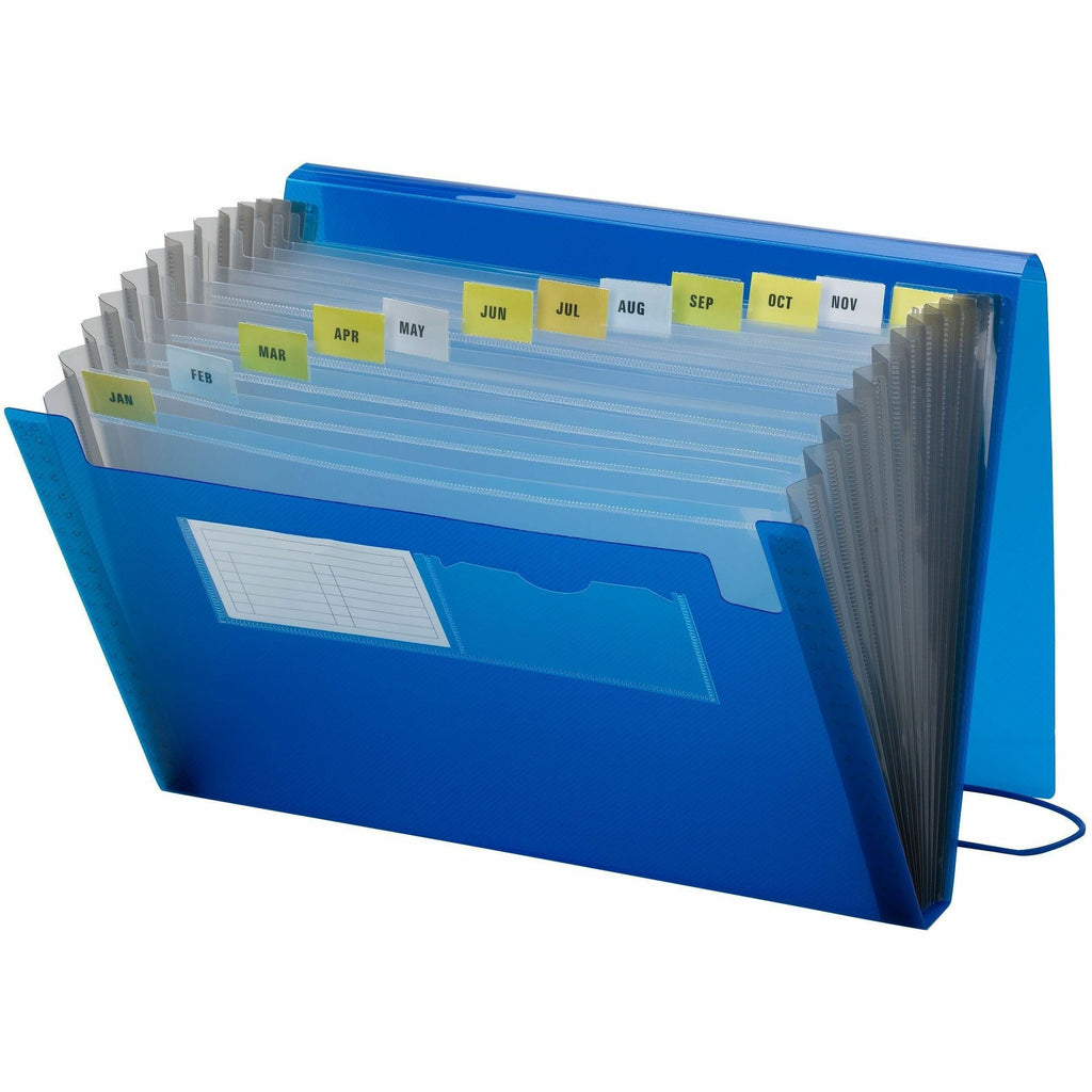 Expanding File With Color Tab Inserts, 9" Expansion, 12 Sections, Elastic Cord Closure, 1/12-Cut Tabs, Letter Size, Blue