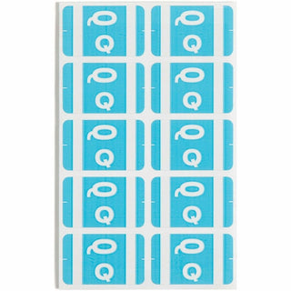 Alphaz Color-Coded Second Letter Alphabetical Labels, Q, 1 X 1.63, Light Blue, 10/sheet, 10 Sheets/pack
