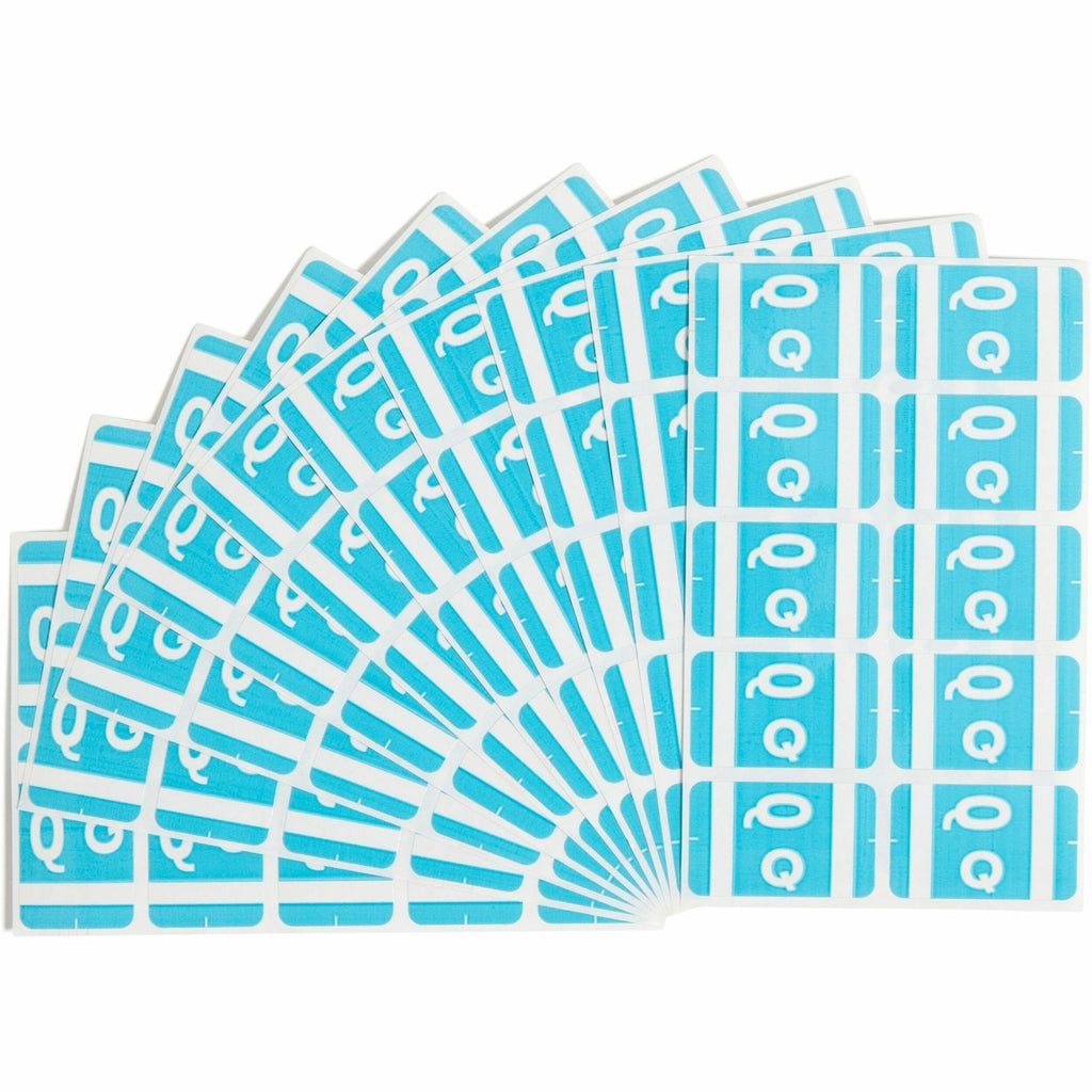 Alphaz Color-Coded Second Letter Alphabetical Labels, Q, 1 X 1.63, Light Blue, 10/sheet, 10 Sheets/pack