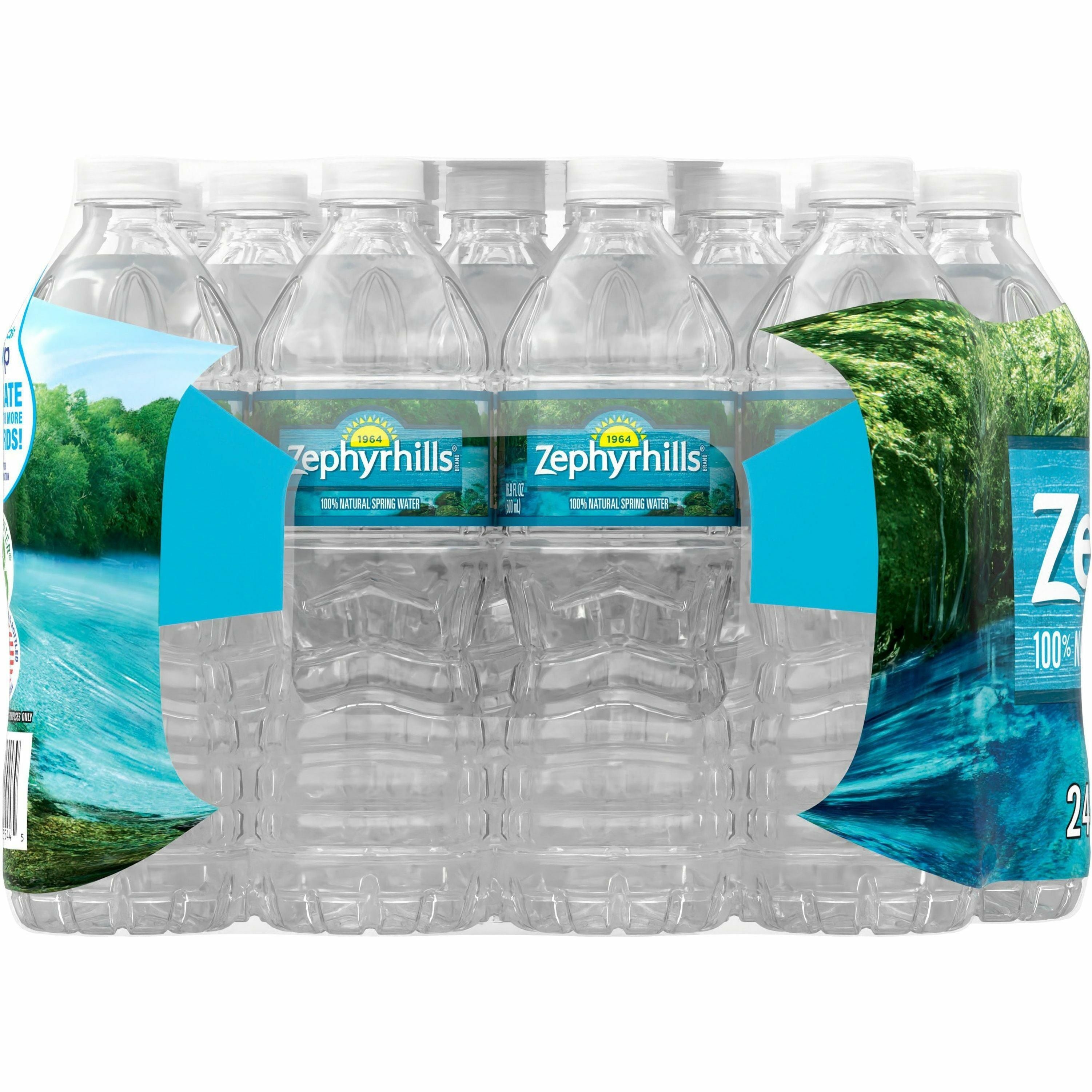 Nestle Premium Bottled Spring Water - Ready-to-Drink - 16.91 fl oz (500 mL) - Bottle - 24 / Carton - 2