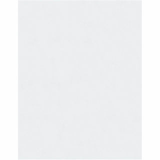 Redi-Strip Catalog Envelope, #15 1/2, Cheese Blade Flap, Redi-Strip Adhesive Closure, 12 x 15.5, White, 100/Box