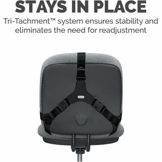 Professional Series Back Support with Microban Protection, 15 x 2 x 14.5, Black