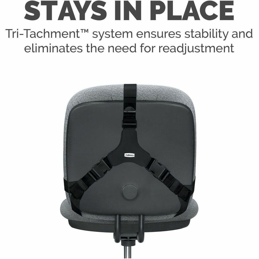 Professional Series Back Support with Microban Protection, 15 x 2 x 14.5, Black