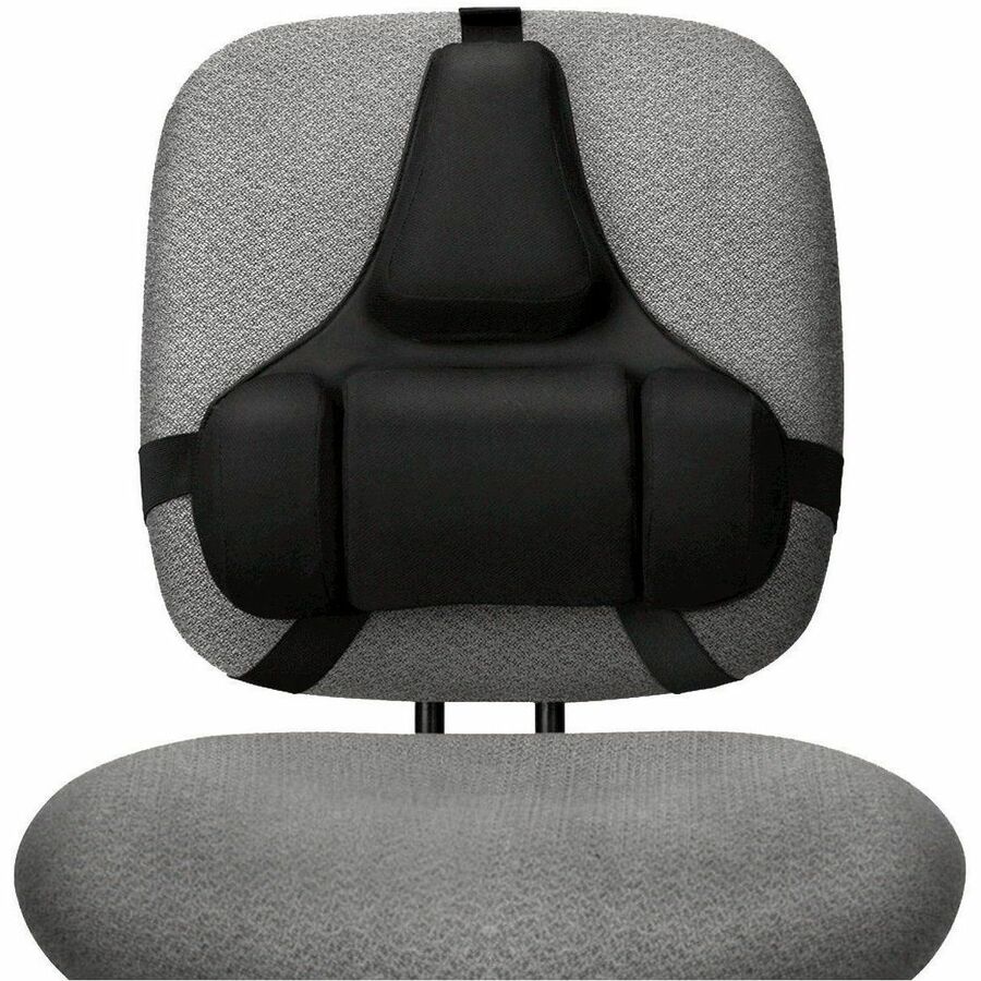 Professional Series Back Support with Microban Protection, 15 x 2 x 14.5, Black