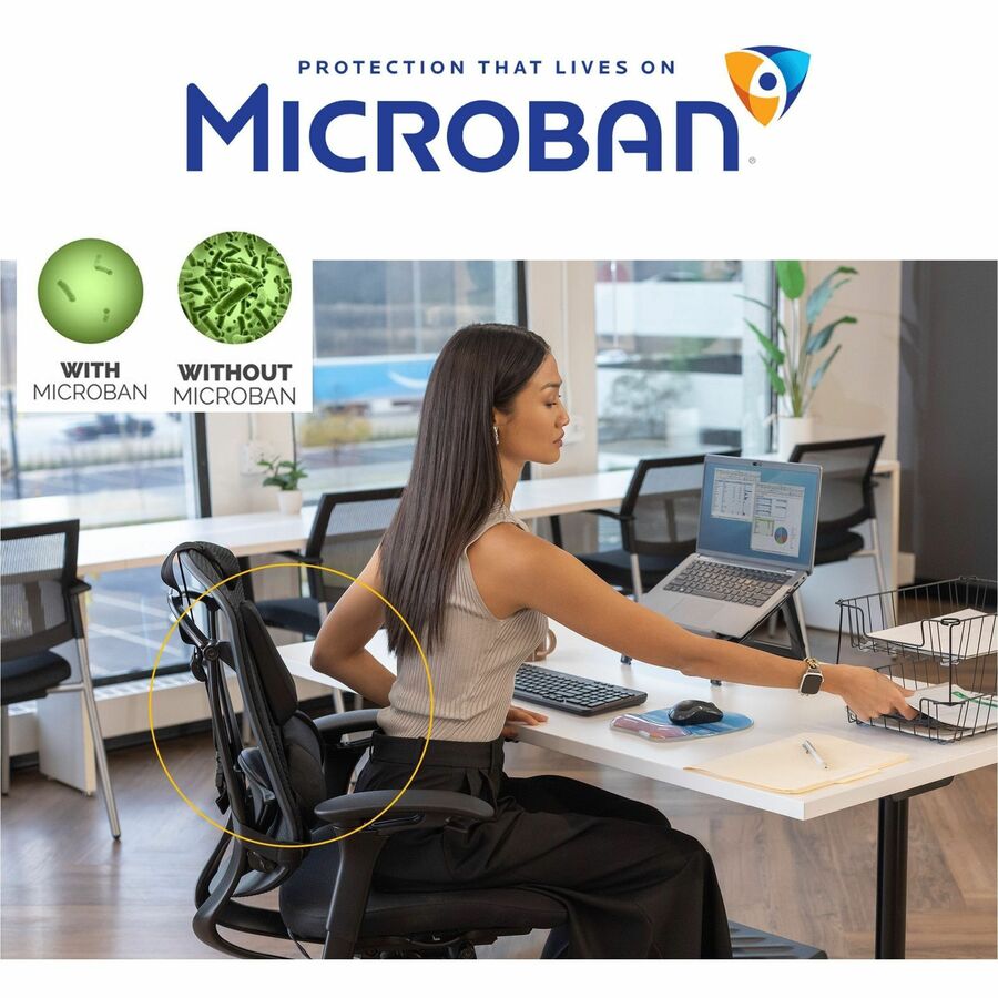 Professional Series Back Support with Microban Protection, 15 x 2 x 14.5, Black