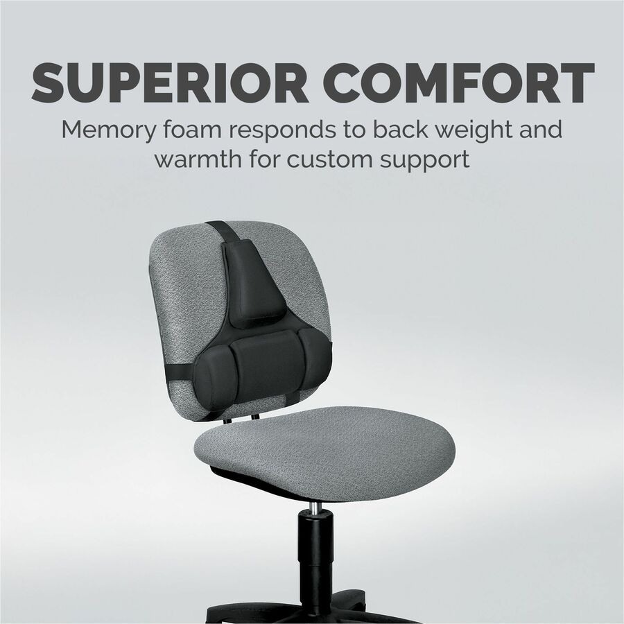 Professional Series Back Support with Microban Protection, 15 x 2 x 14.5, Black