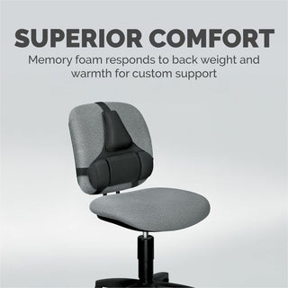 Professional Series Back Support with Microban Protection, 15 x 2 x 14.5, Black