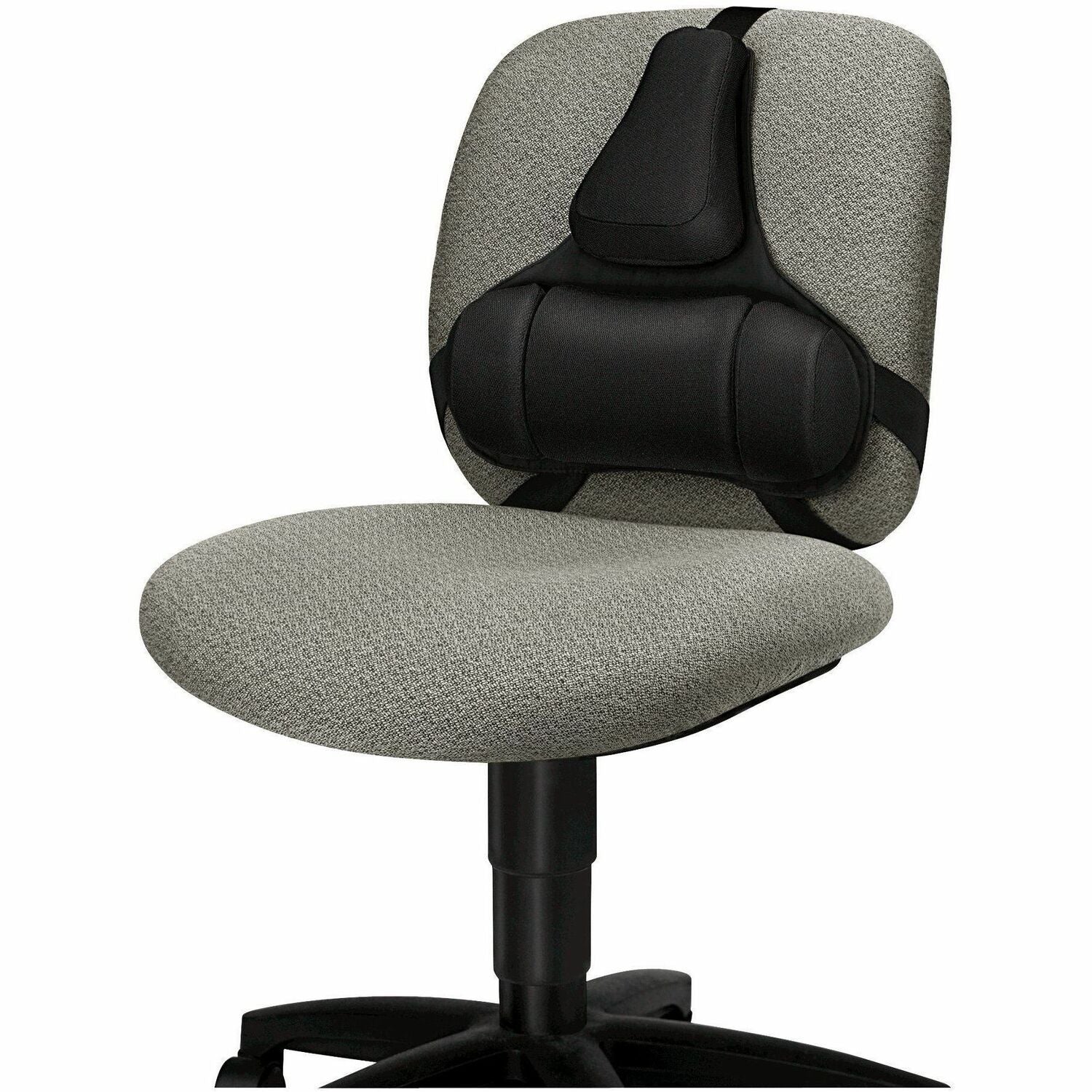 Professional Series Back Support with Microban Protection, 15 x 2 x 14.5, Black