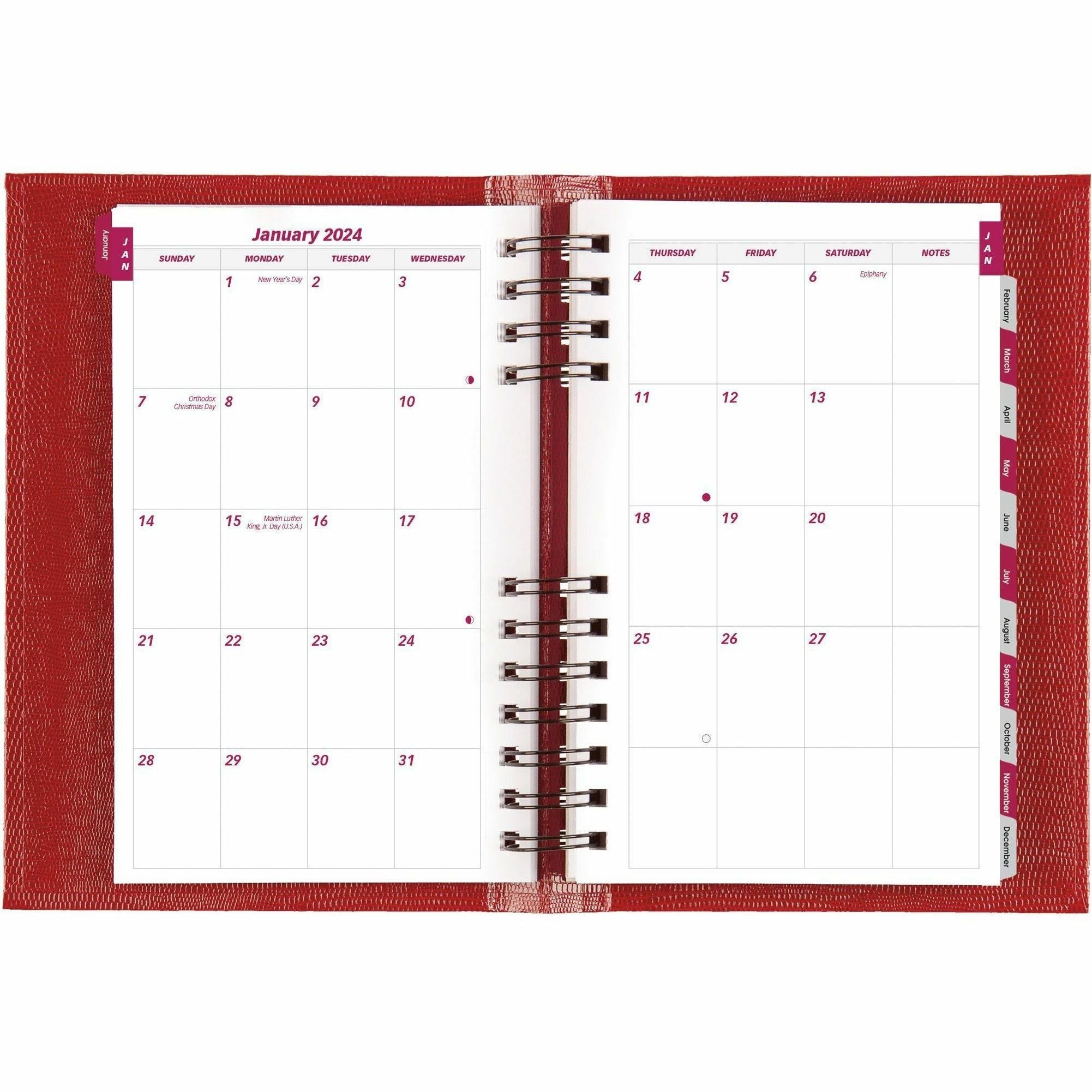 blueline-brownline-coilpro-daily-appointment-planner-daily-january-2024-december-2024-700-am-to-730-pm-half-hourly-5-x-8-sheet-size-red-laminated-1-each_redcb634cred - 3