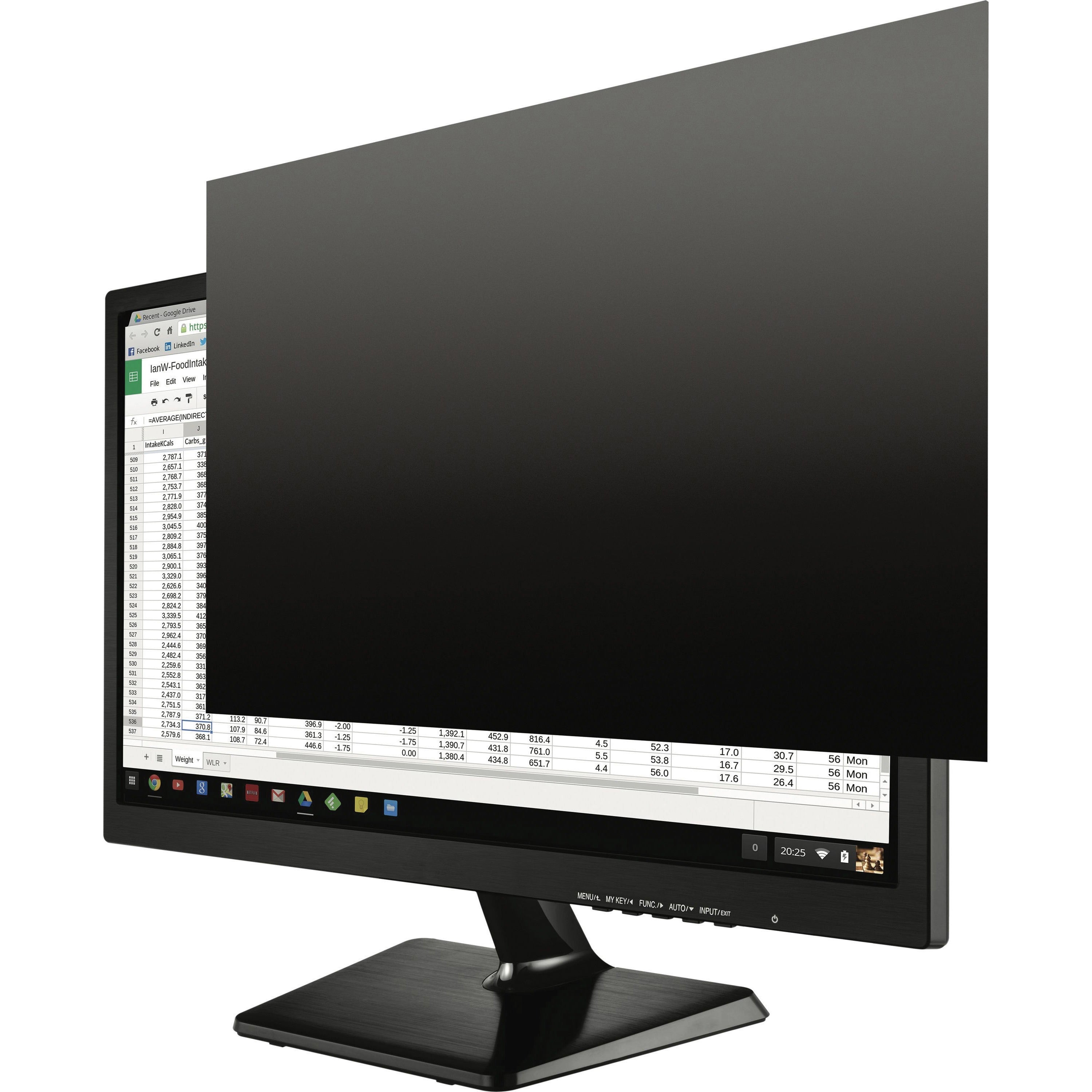 Kantek Secure-View Blackout Privacy Filter - Fits 19" Widescreen LCD Monitors Black - For 19" Widescreen Notebook, Monitor - Damage Resistant - Anti-glare - 1 Pack - 