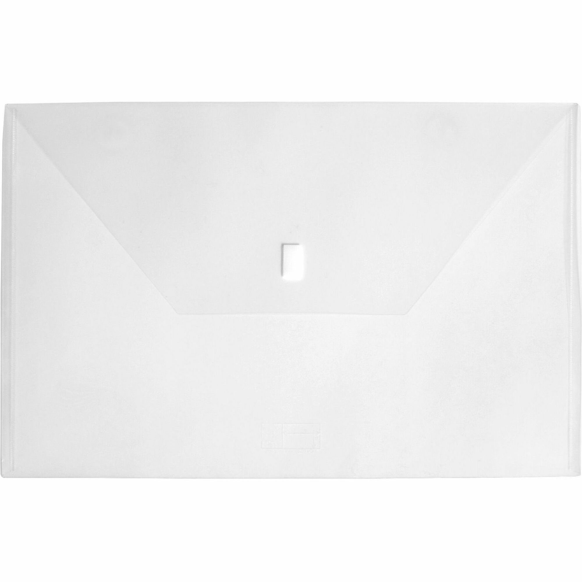 Lion Recycled Project File - 11" x 17" - Poly - Clear - 20% Recycled - 1 Each - 