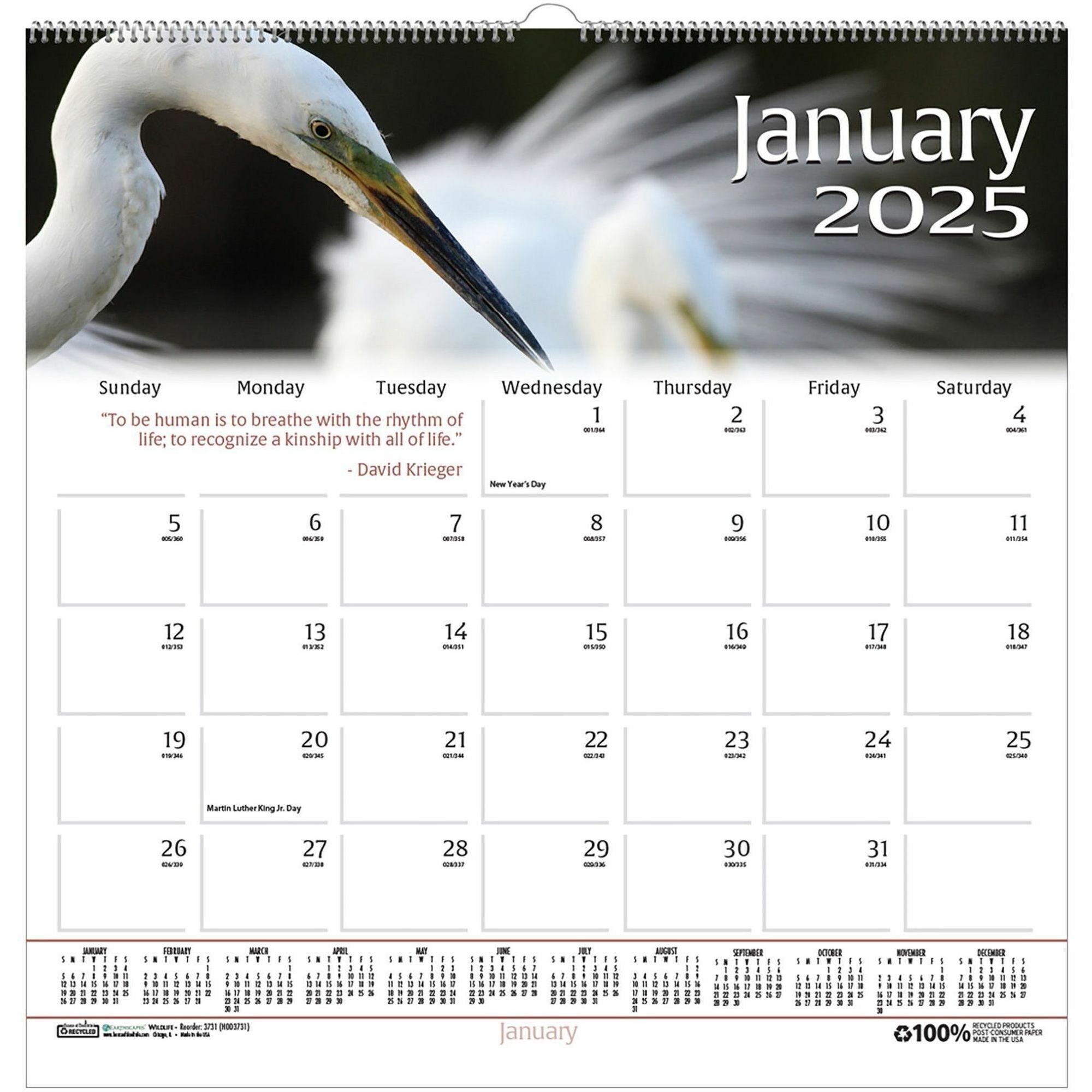 House of Doolittle Earthscapes Wildlife Wall Calendars - Julian Dates - Monthly - 1 Year - January 2024 - December 2024 - 1 Month Single Page Layout - 12" x 12" Sheet Size - 1.63" x 1.63" Block - Wire Bound - Paper - Hanging Loop - 1 Each - 1