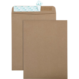 Recycled Brown Kraft Redi-Strip Envelope, #10 1/2, Cheese Blade Flap, Redi-Strip Closure, 9 x 12, Brown Kraft, 100/Box