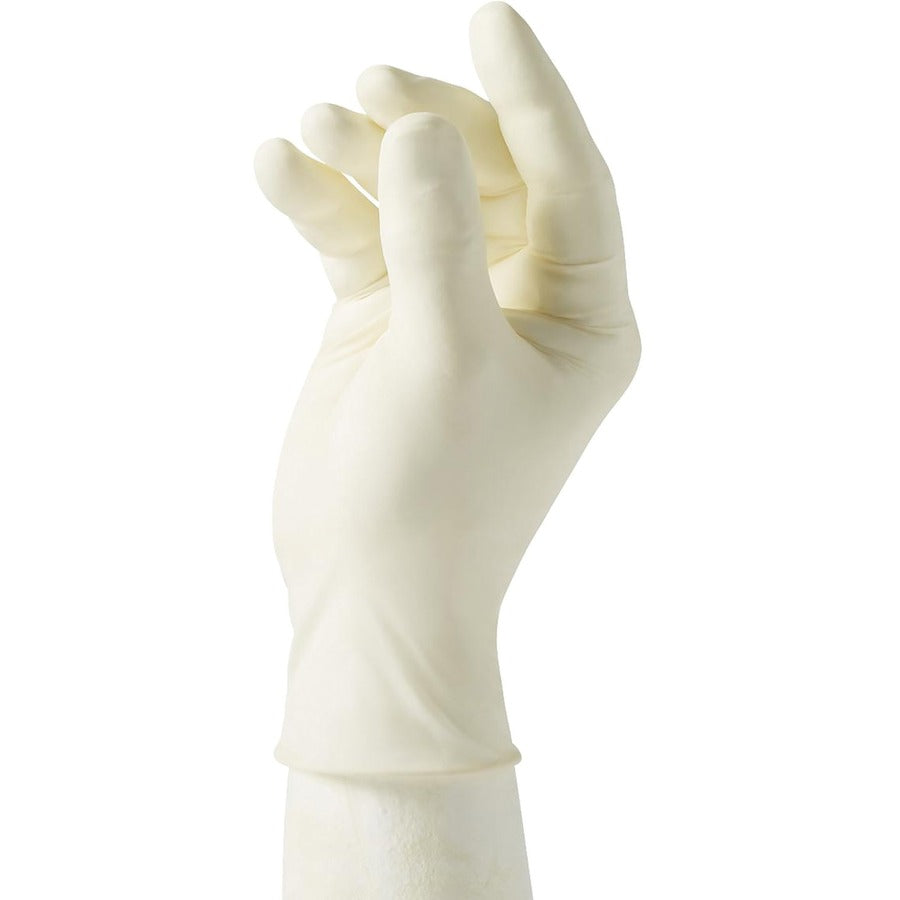 Curad Powder Free Latex Exam Gloves - Large Size - White - Textured - For Healthcare Working - 100 / Box - 
