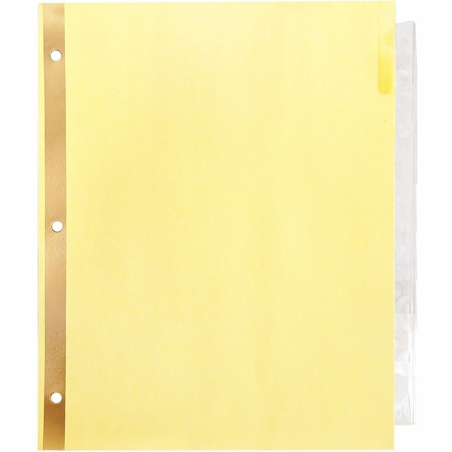 Business Source Insertable Tab Indexes - 8 Blank Tab(s) - 8.5" Divider Width x 11" Divider Length - Letter - 3 Hole Punched - Clear Tab(s) - Punched, Reinforced Edges, Mylar Reinforcement, Tear Resistant, Insertable - 8 / Set
