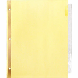 Business Source Insertable Tab Indexes - 8 Blank Tab(s) - 8.5" Divider Width x 11" Divider Length - Letter - 3 Hole Punched - Clear Tab(s) - Punched, Reinforced Edges, Mylar Reinforcement, Tear Resistant, Insertable - 8 / Set