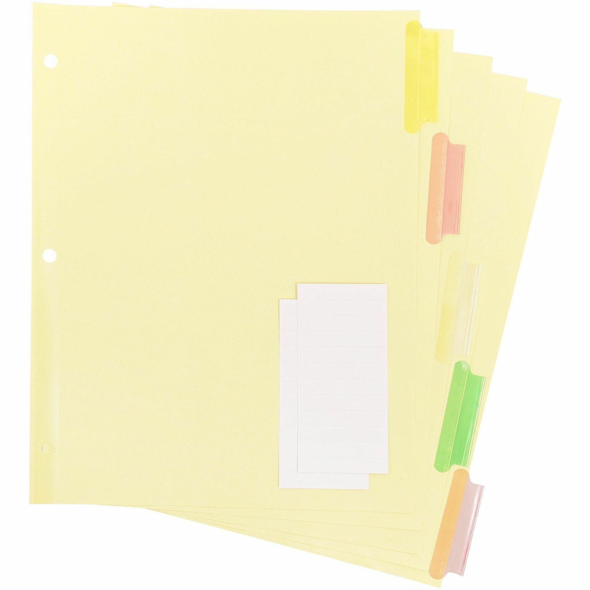 Business Source Insertable Tab Ring Binder Indexes - 5 Blank Tab(s)2" Tab Width - 8.5" Divider Width x 11" Divider Length - Letter - 3 Hole Punched - Multicolor Tab(s) - Tear Resistant, Punched, Insertable, Reinforced Edges - 5 / Set