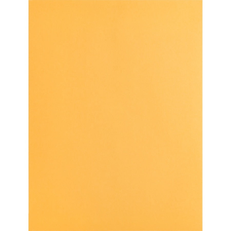 Business Source Kraft Gummed Catalog Envelopes - Catalog - #10 1/2 - 9" Width x 12" Length - 28 lb - Gummed - Kraft - 250 / Box - Kraft