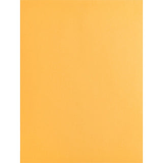 Business Source Kraft Gummed Catalog Envelopes - Catalog - #10 1/2 - 9" Width x 12" Length - 28 lb - Gummed - Kraft - 250 / Box - Kraft