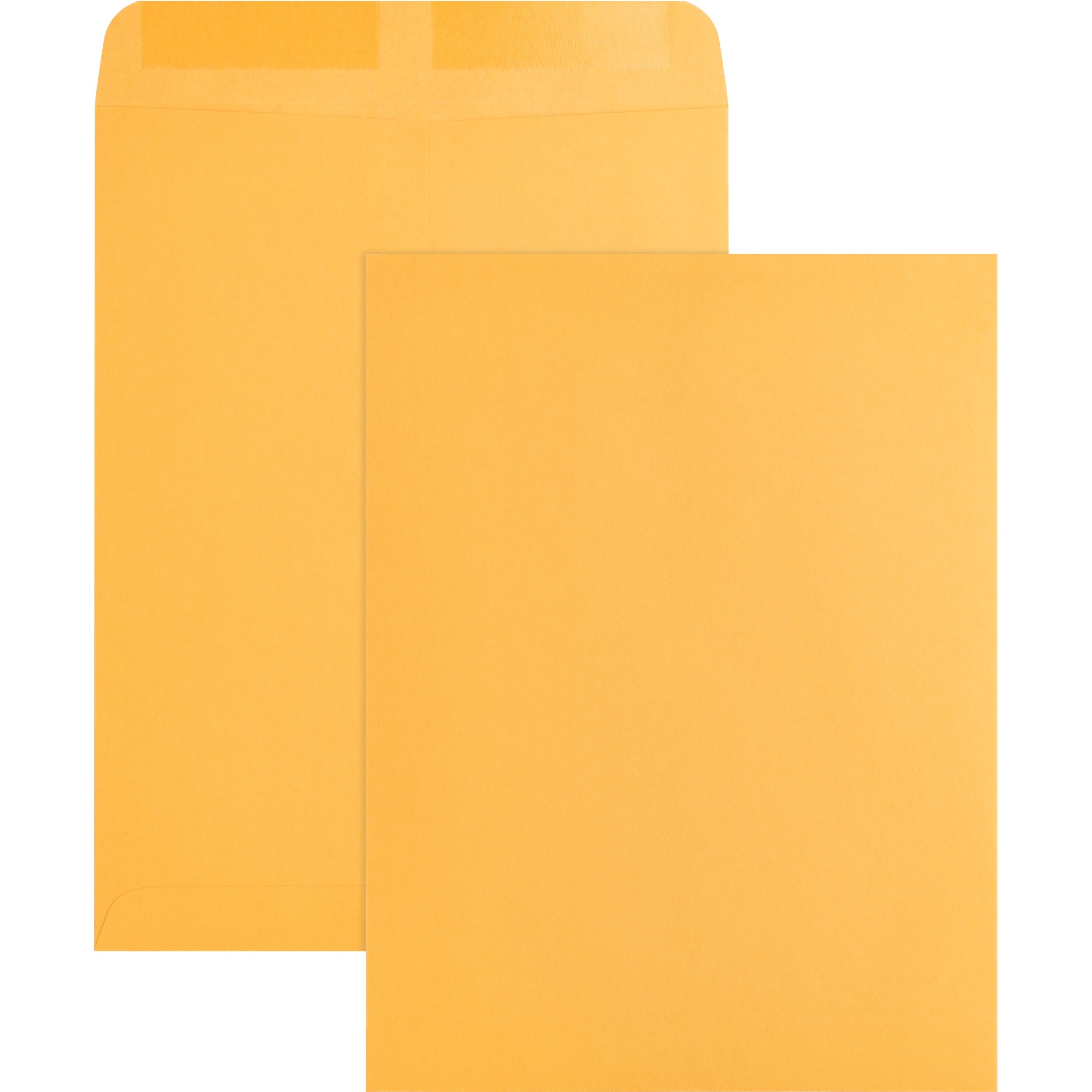 Business Source Kraft Gummed Catalog Envelopes - Catalog - #10 1/2 - 9" Width x 12" Length - 28 lb - Gummed - Kraft - 250 / Box - Kraft - 