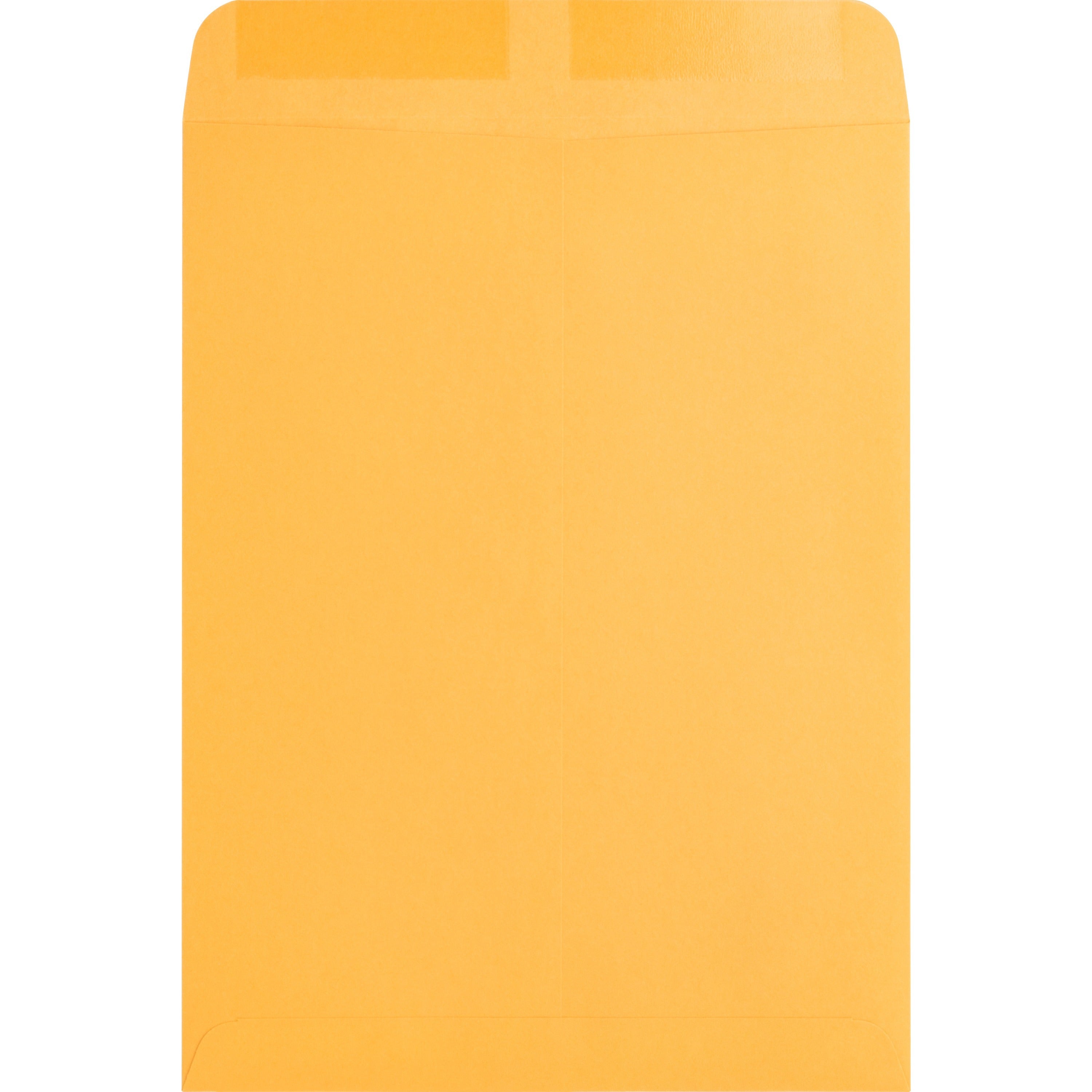 Business Source Kraft Gummed Catalog Envelopes - Catalog - #10 1/2 - 9" Width x 12" Length - 28 lb - Gummed - Kraft - 250 / Box - Kraft - 