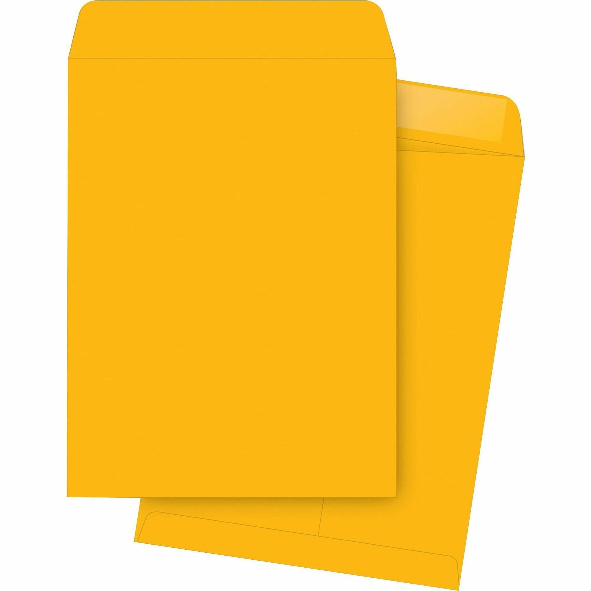 Business Source Kraft Gummed Catalog Envelopes - Catalog - #13 1/2 - 10" Width x 13" Length - 28 lb - Gummed - Kraft - 250 / Box - Kraft - 