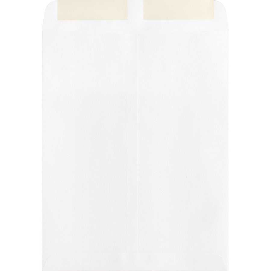 Business Source 28 lb. White Catalog Envelopes - Catalog - #10 1/2 - 9" Width x 12" Length - 28 lb - Gummed - Wove - 250 / Box - White