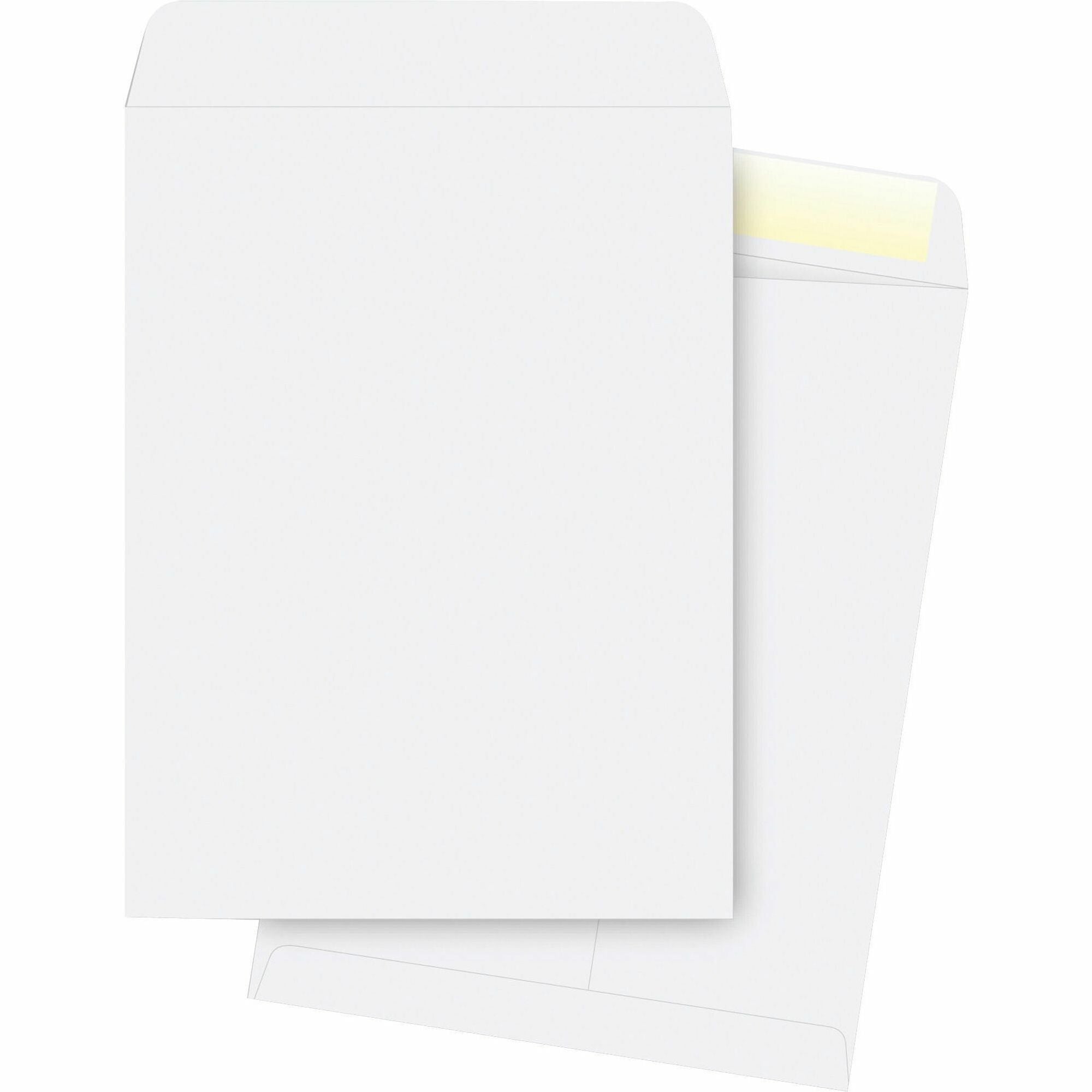 Business Source 28 lb. White Catalog Envelopes - Catalog - #13 1/2 - 10" Width x 13" Length - 28 lb - Gummed - Wove - 250 / Box - White - 