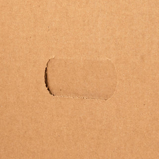 Business Source Economy Medium-duty Storage Boxes - 
