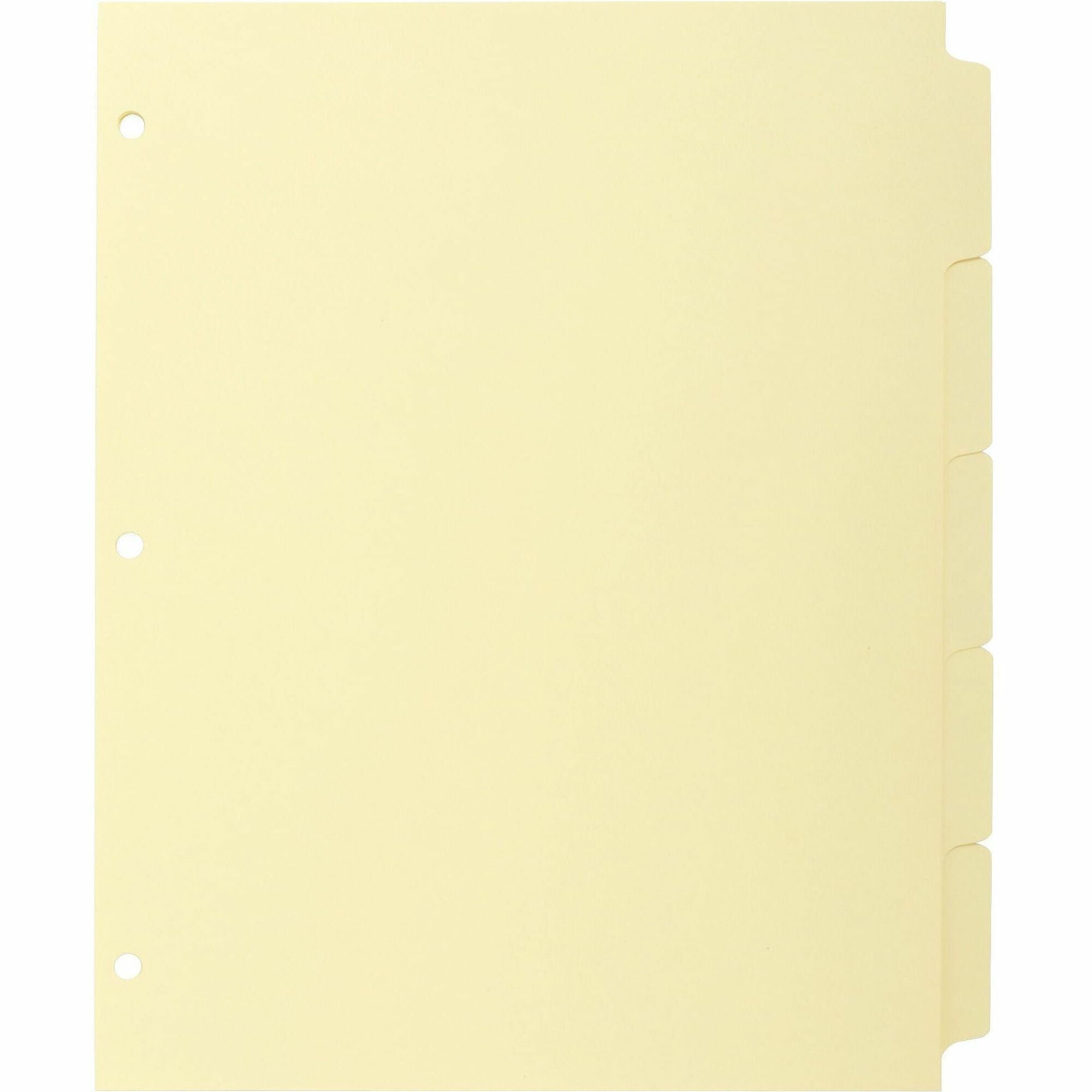 Business Source Mylar-reinforced Plain Tab Indexes - 5 Write-on Tab(s) - 8.5" Divider Width x 11" Divider Length - Letter - 3 Hole Punched - Canary Tab(s) - Hole-punched, Mylar Reinforcement, Mylar Reinforced Edge - 36 / Box - 