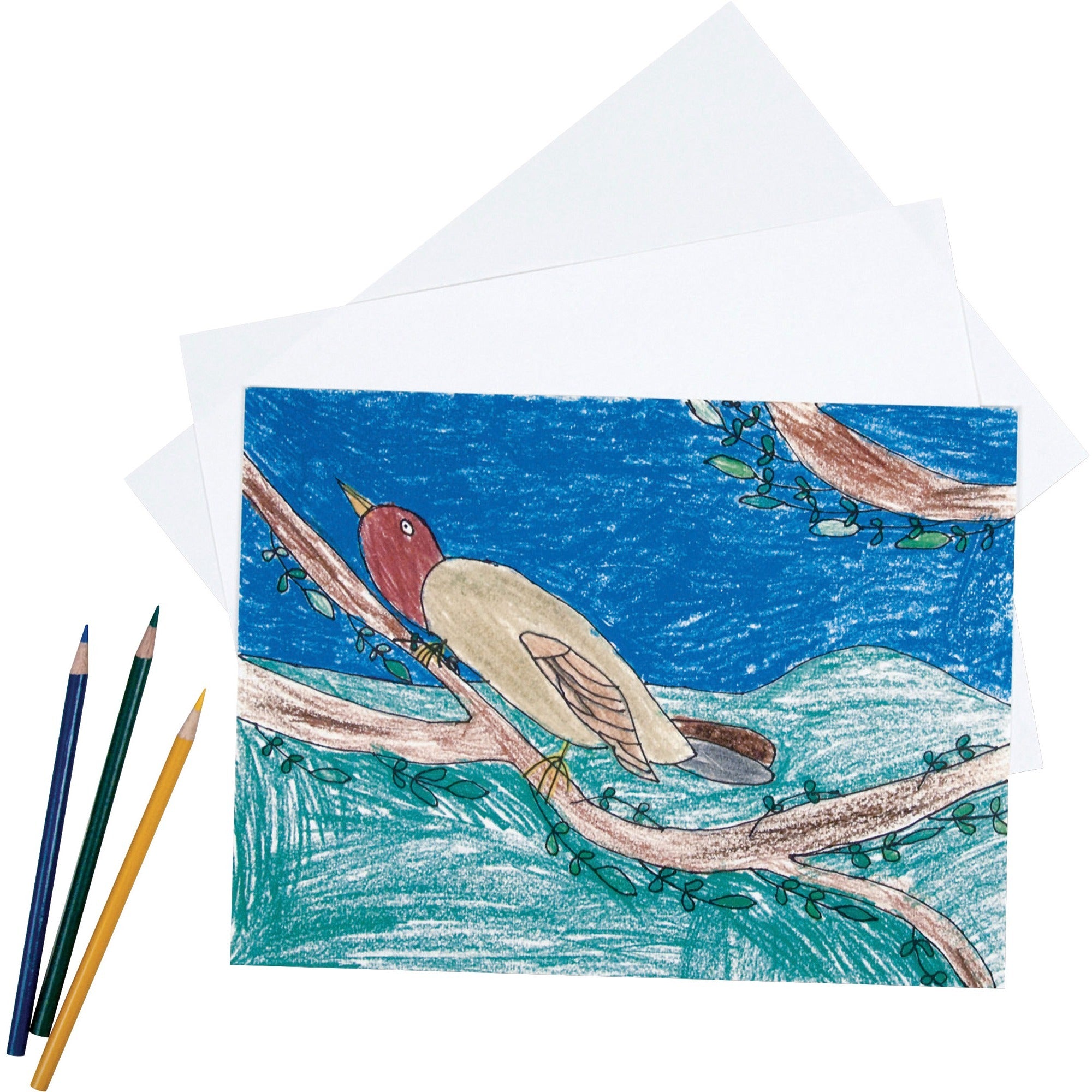 White Drawing Paper, 78 lb Text Weight, 18 x 24, Pure White, 500/Ream
