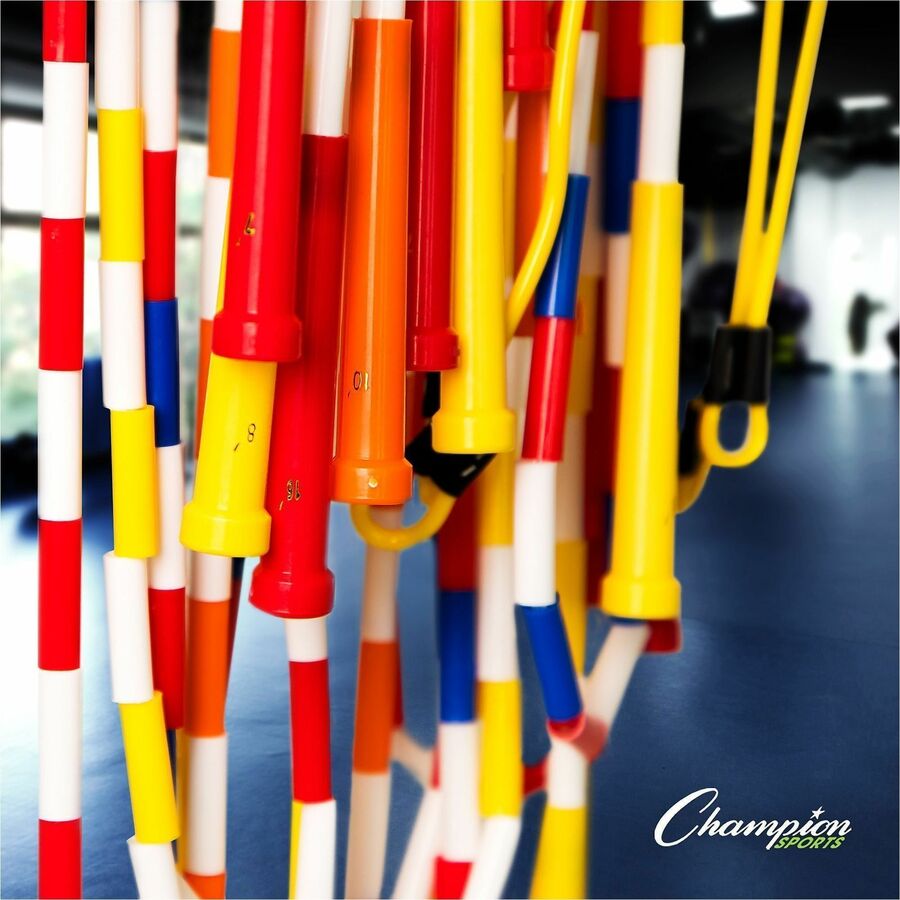 Physical Education Kit with 7 Balls, 14 Jump Ropes, Assorted Colors