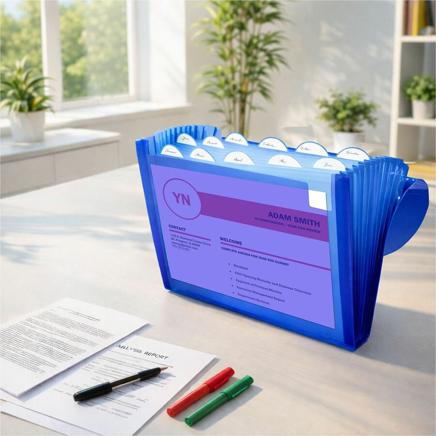 Expanding Files, 1.63" Expansion, 13 Sections, Cord/Hook Closure, 1/6-Cut Tabs, Letter Size, Blue