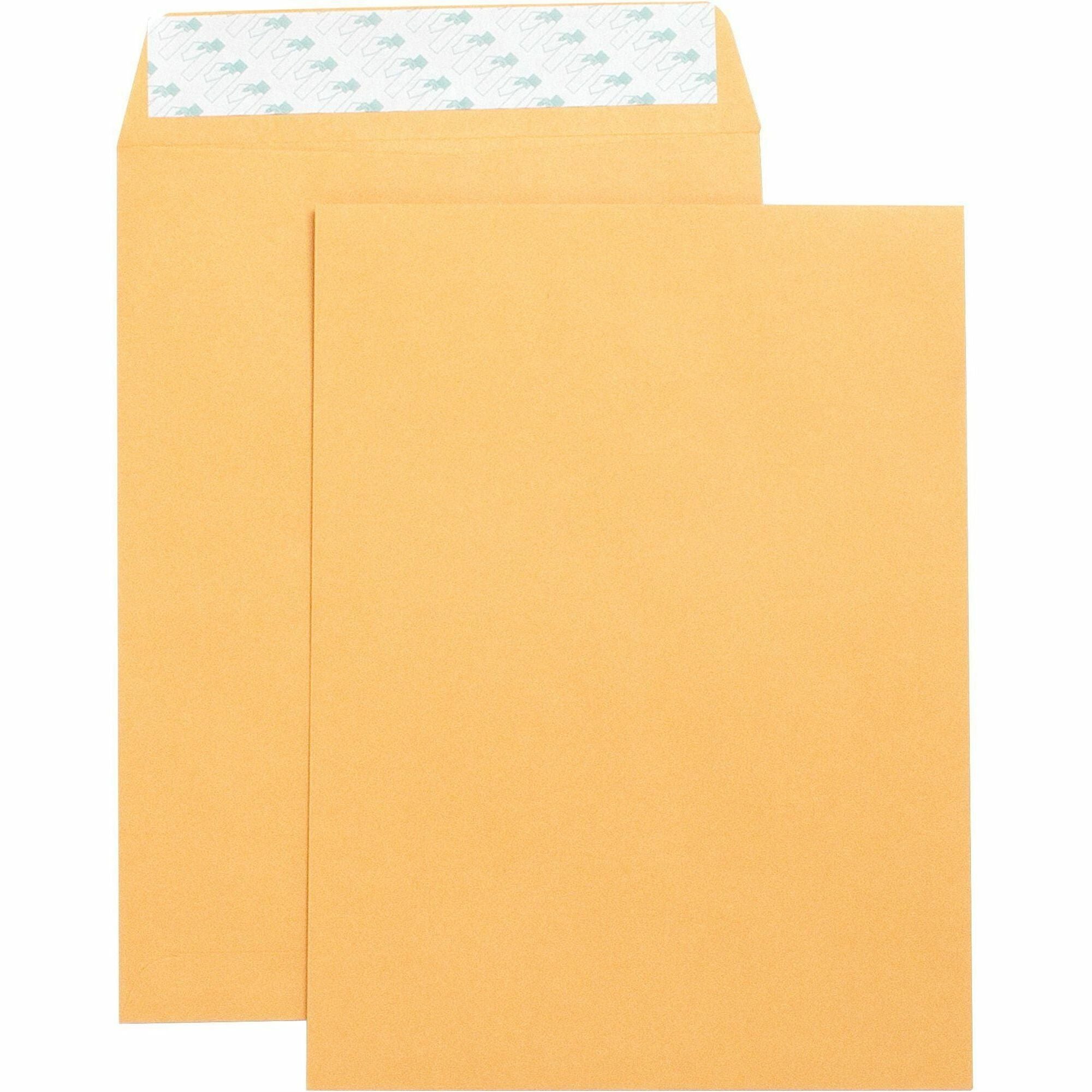 Business Source Self Adhesive Kraft Catalog Envelopes - Catalog - 9" Width x 12" Length - 28 lb - Self-sealing - Kraft - 250 / Box - Brown Kraft - 
