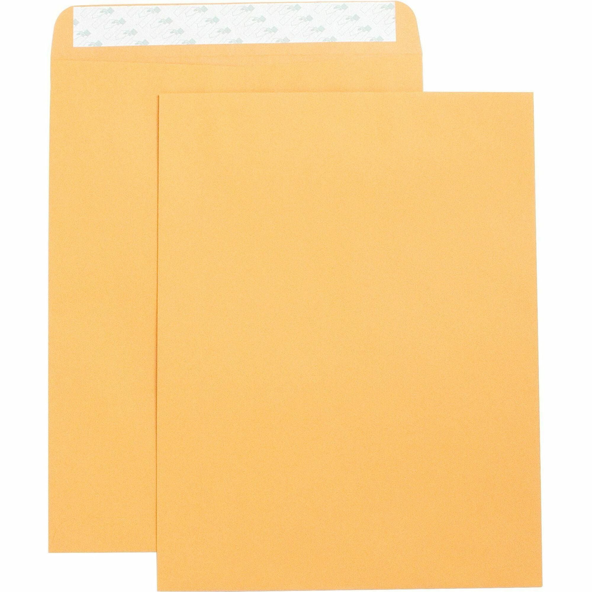 Business Source Self Adhesive Kraft Catalog Envelopes - Catalog - 10" Width x 13" Length - 28 lb - Self-sealing - Kraft - 250 / Box - Brown Kraft - 